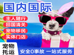 运城航空快递国际宠物托运 【国